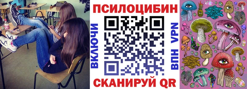 Галлюциногенные грибы прущие грибы  Ленинградская 